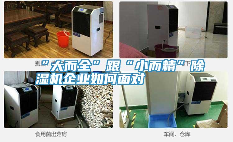 “大而全”跟“小而精”猫咪成人官网企业如何面对