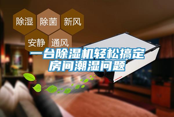 一台猫咪成人官网轻松搞定房间潮湿问题