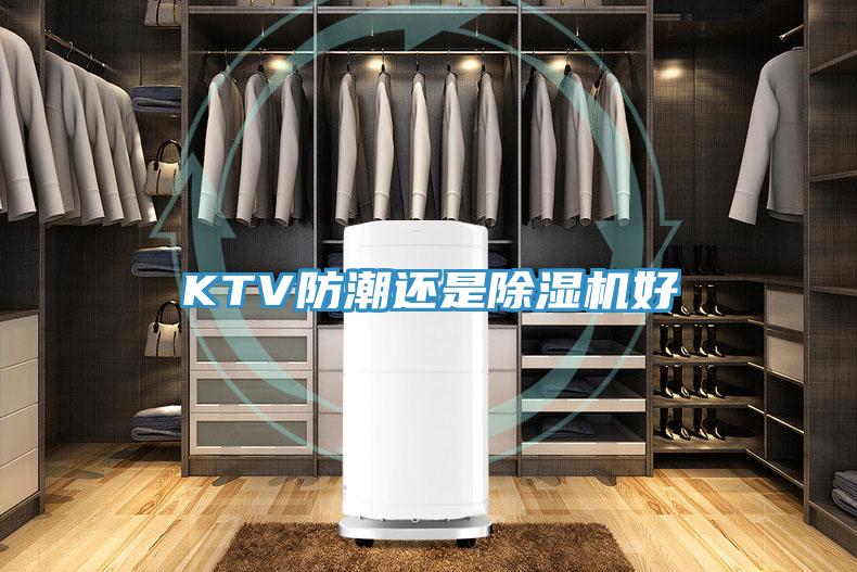KTV防潮还是猫咪成人官网好