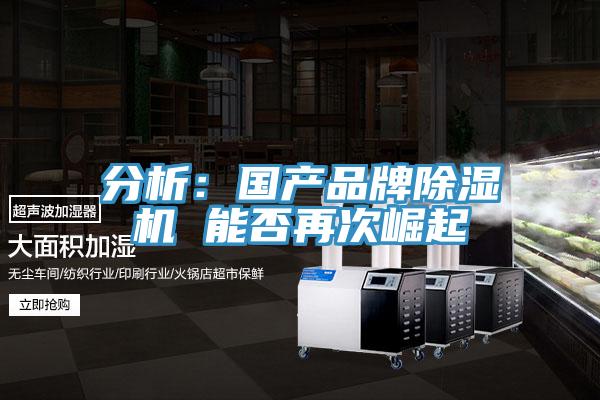 分析：国产品牌猫咪成人官网 能否再次崛起