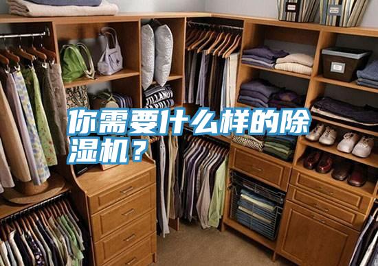 你需要什么样的猫咪成人官网？