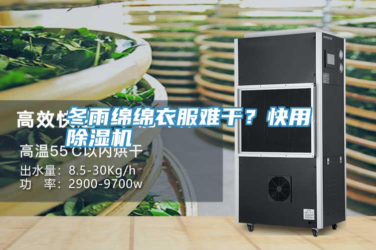 冬雨绵绵衣服难干？快用猫咪成人官网
