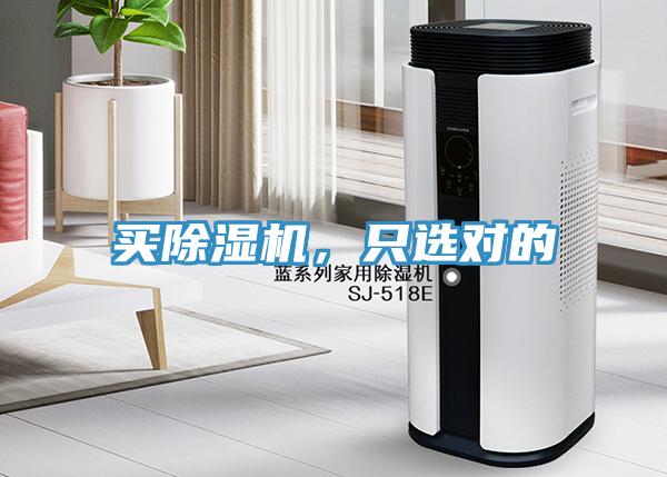 买猫咪成人官网，只选对的