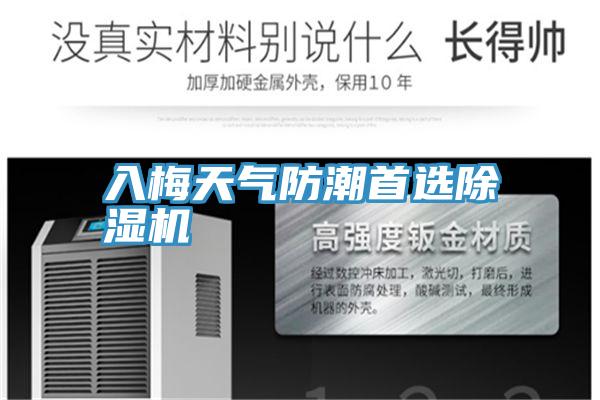 入梅天气防潮首选猫咪成人官网