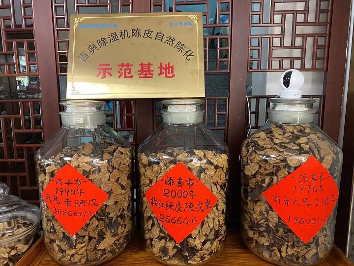 仓库猫咪成人官网
