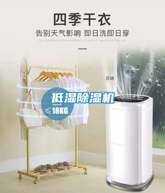 低湿猫咪成人官网