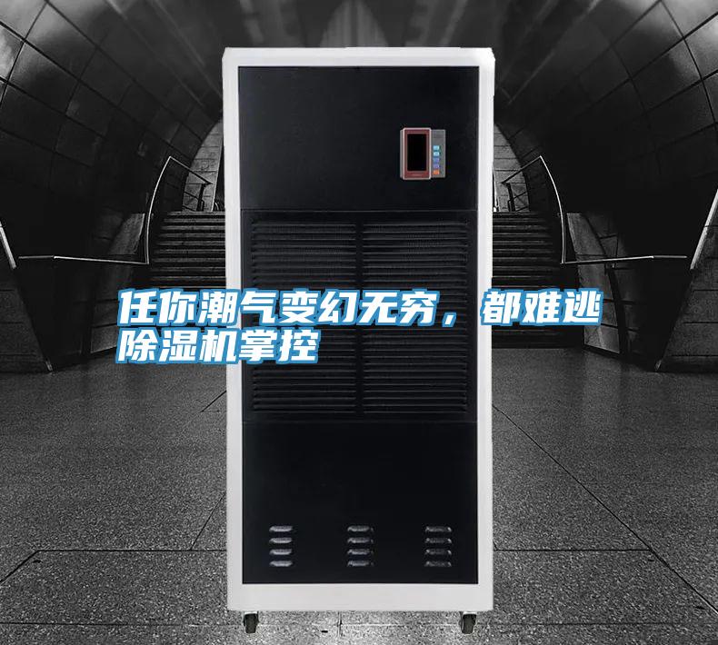 任你潮气变幻无穷，都难逃猫咪成人官网掌控