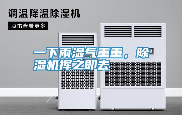 一下雨湿气重重，猫咪成人官网挥之即去