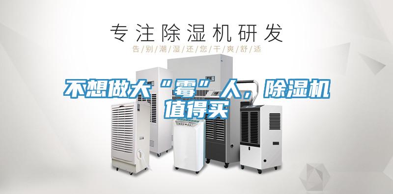 不想做大“霉”人，猫咪成人官网值得买