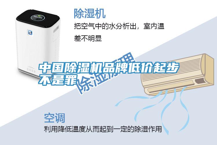 中国猫咪成人官网品牌低价起步不是罪