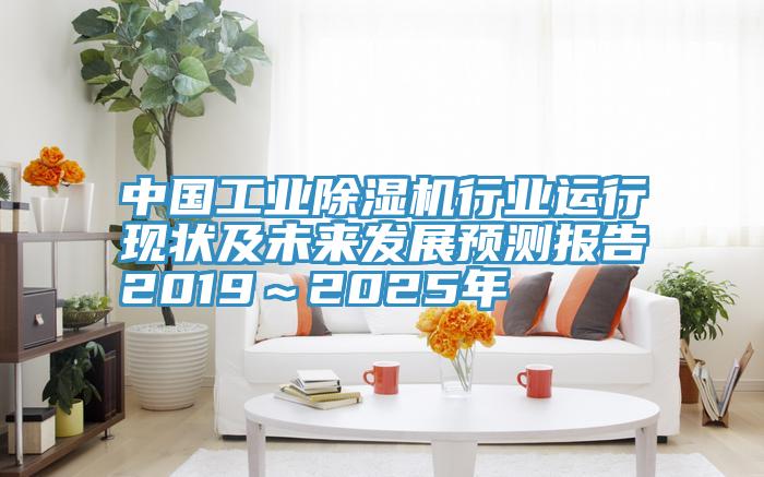 中国工业猫咪成人官网行业运行现状及未来发展预测报告2019～2025年
