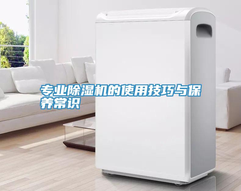 专业猫咪成人官网的使用技巧与保养常识
