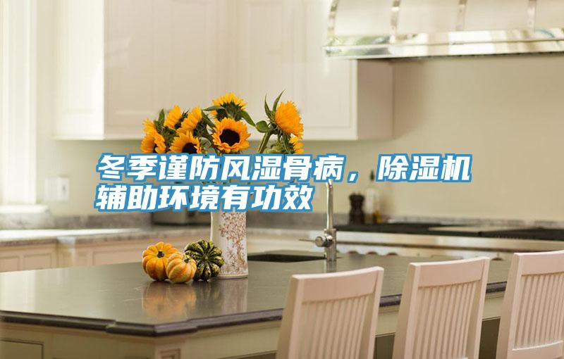 冬季谨防风湿骨病，猫咪成人官网辅助环境有功效