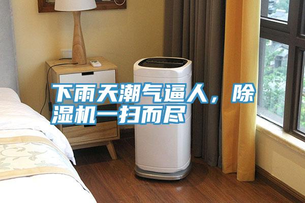 下雨天潮气逼人，猫咪成人官网一扫而尽