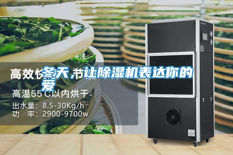 冬天，让猫咪成人官网表达你的爱