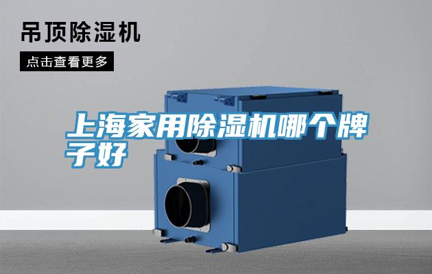 上海家用猫咪成人官网哪个牌子好