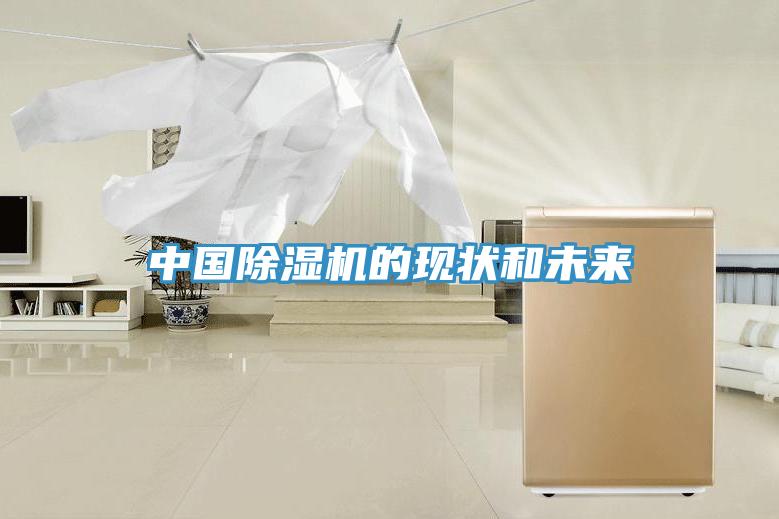 中国猫咪成人官网的现状和未来