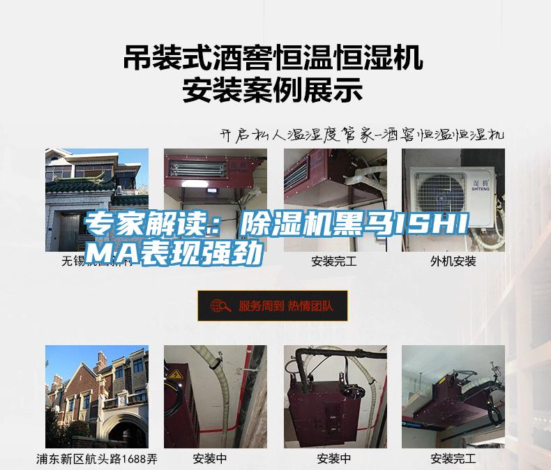 专家解读：猫咪成人官网黑马ISHIMA表现强劲