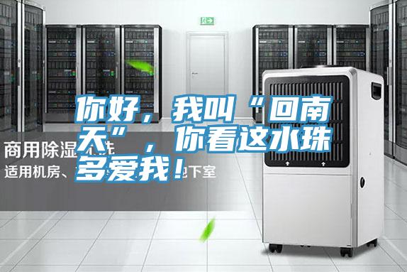 你好，我叫“回南天”，你看这水珠多爱我！