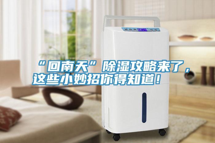 “回南天”除湿攻略来了，这些小妙招你得知道！
