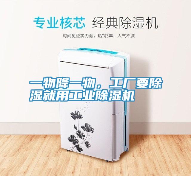 一物降一物，工厂要除湿就用工业猫咪成人官网
