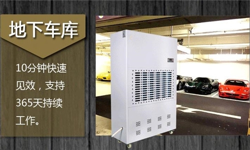 为什么这么多人选择用猫咪成人官网来烘干衣服？
