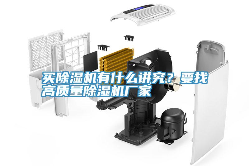 买猫咪成人官网有什么讲究？要找高质量猫咪成人官网厂家