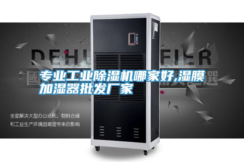 专业工业猫咪成人官网哪家好,湿膜加湿器批发厂家