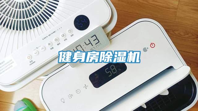健身房猫咪成人官网