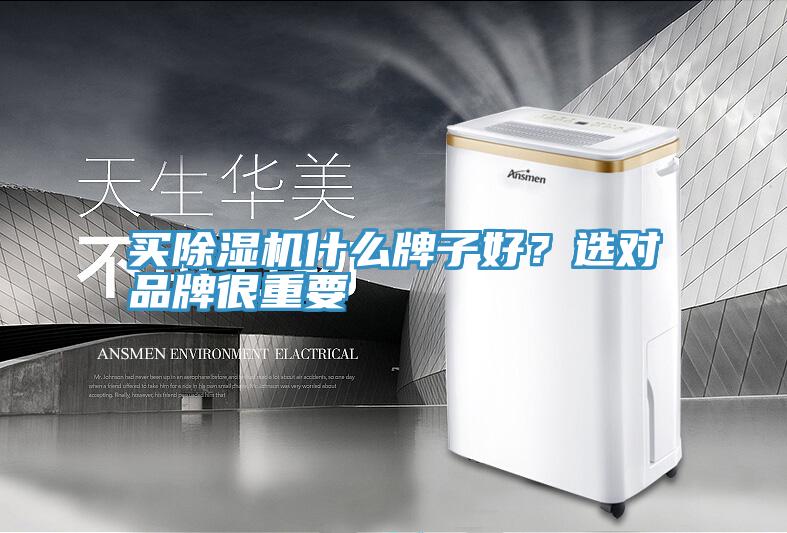 买猫咪成人官网什么牌子好？选对品牌很重要