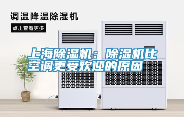 上海猫咪成人官网：猫咪成人官网比空调更受欢迎的原因