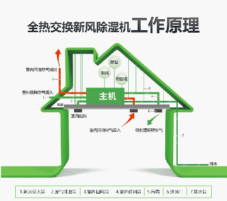 工业猫咪成人官网厂家