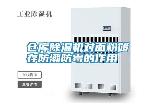 仓库猫咪成人官网对面粉储存防潮防霉的作用