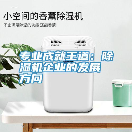专业成就王道：猫咪成人官网企业的发展方向