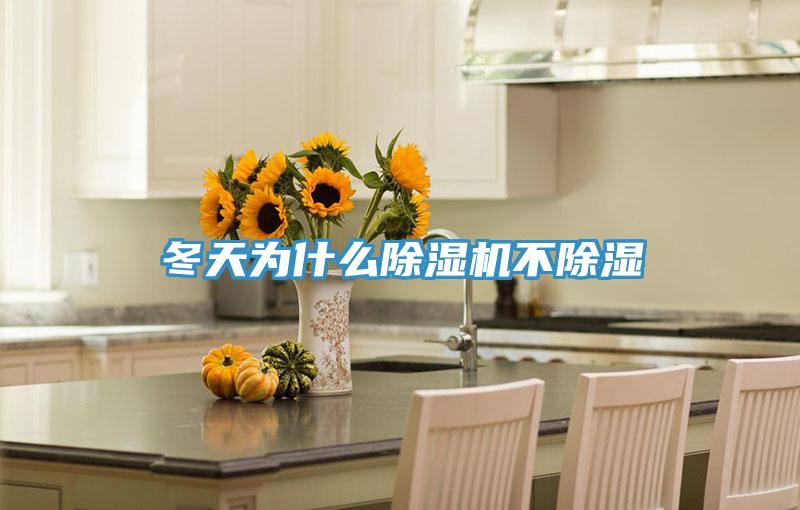 冬天为什么猫咪成人官网不除湿