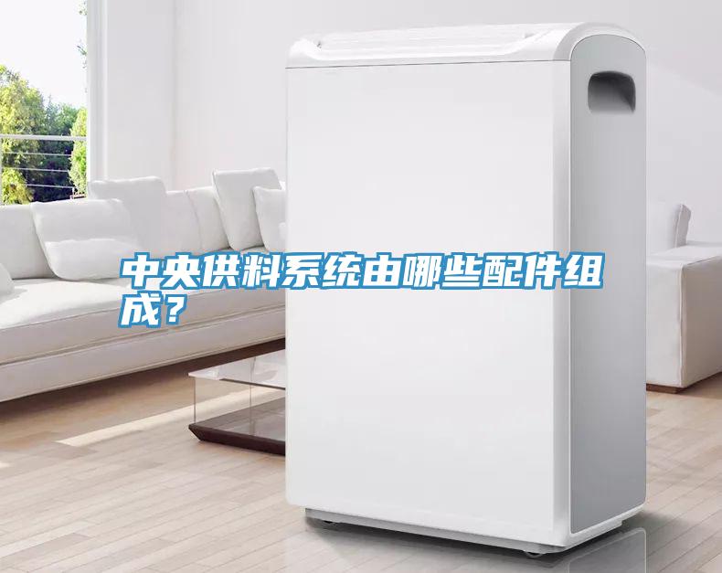 中央供料系统由哪些配件组成？