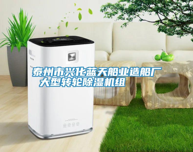 泰州市兴化蓝天船业造船厂 大型转轮猫咪成人官网组