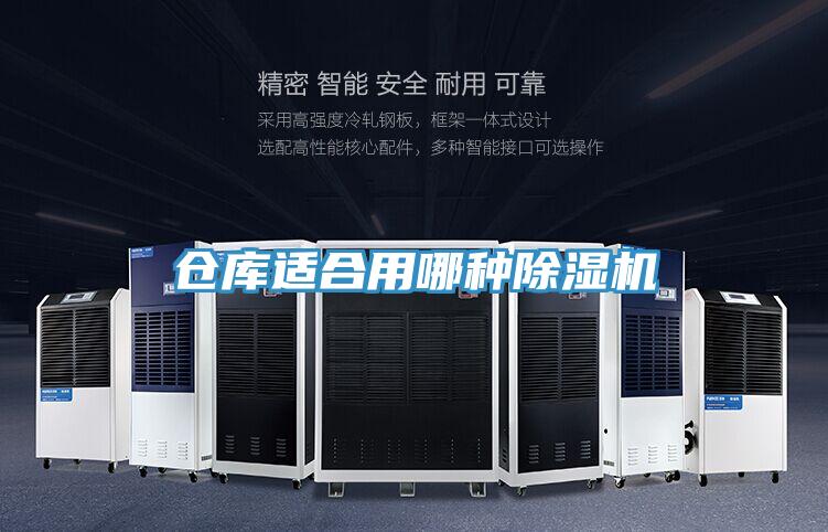 仓库适合用哪种猫咪成人官网