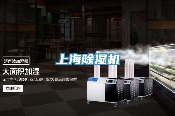 上海猫咪成人官网