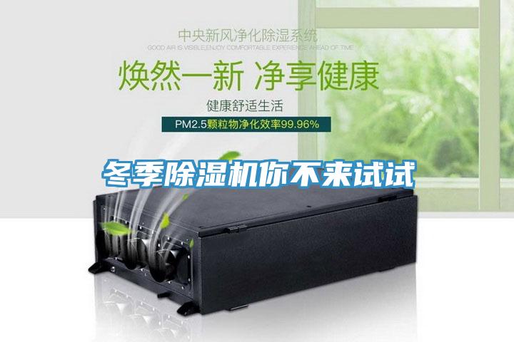 冬季猫咪成人官网你不来试试