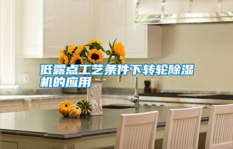 低露点工艺条件下转轮猫咪成人官网的应用