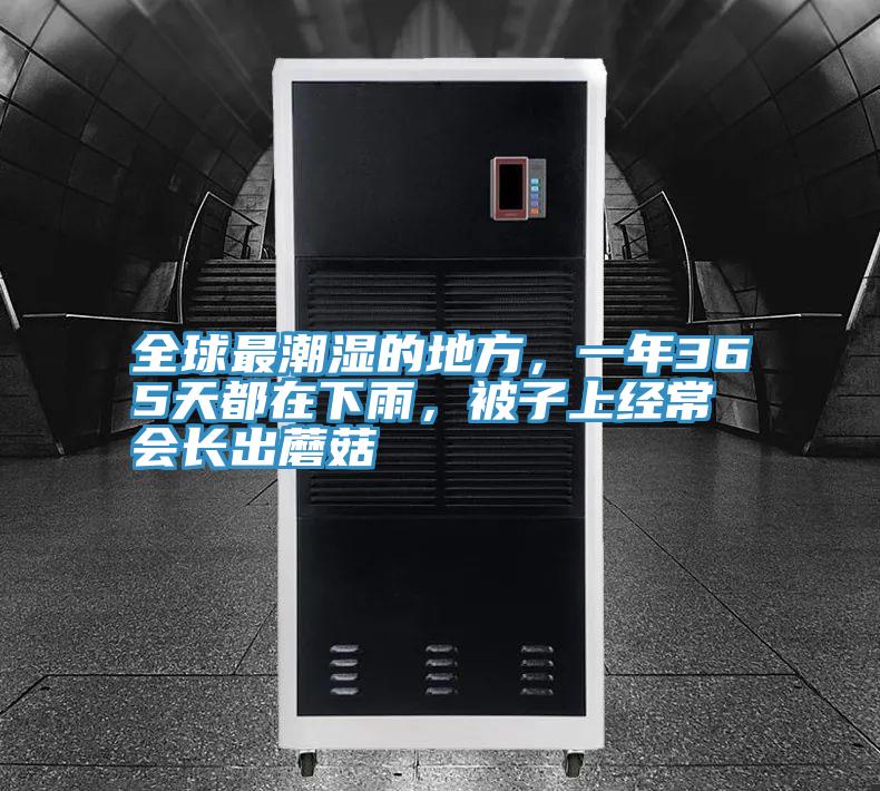 全球最潮湿的地方，一年365天都在下雨，被子上经常会长出蘑菇