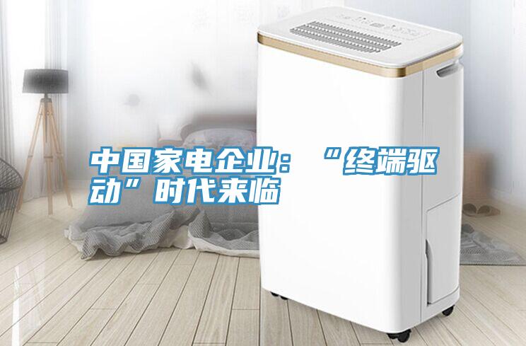 中国家电企业：“终端驱动”时代来临