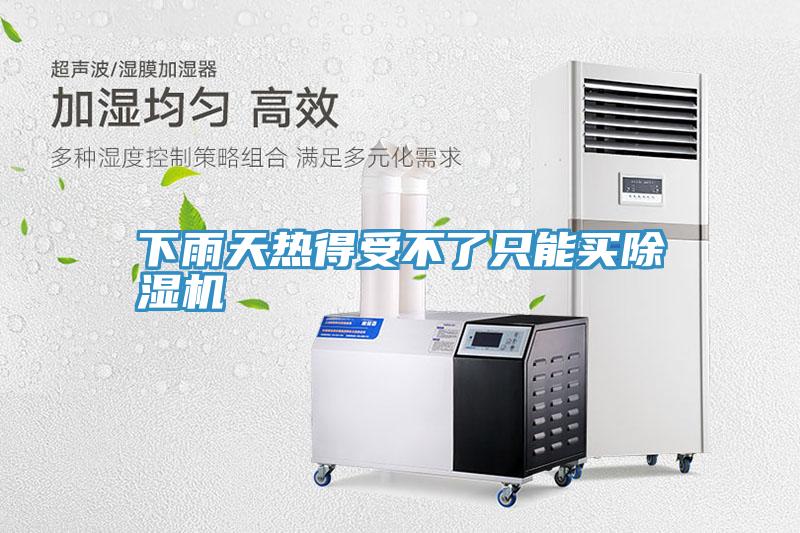 下雨天热得受不了只能买猫咪成人官网