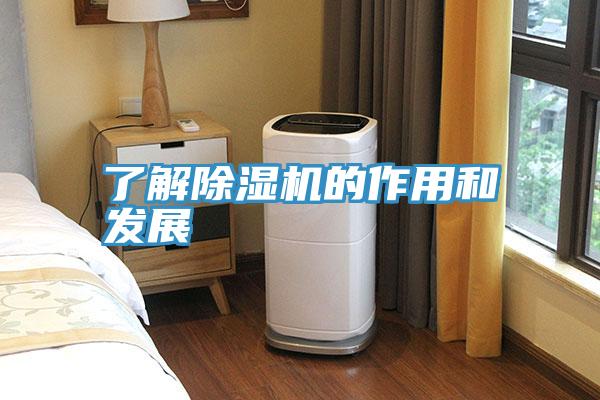 了解猫咪成人官网的作用和发展