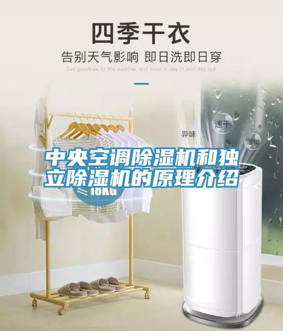 中央空调猫咪成人官网和独立猫咪成人官网的原理介绍