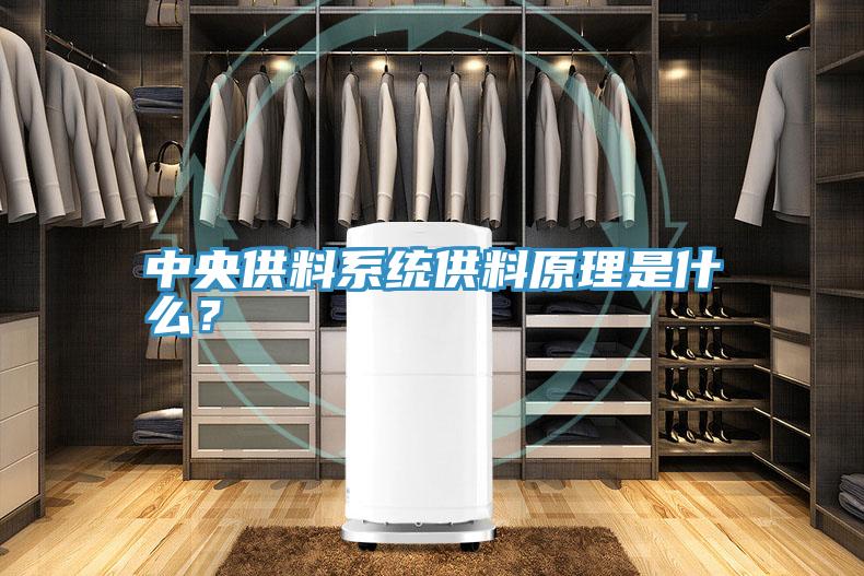 中央供料系统供料原理是什么？
