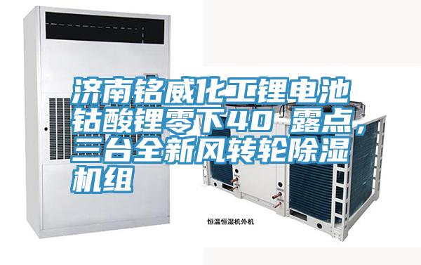 济南铭威化工锂电池钴酸锂零下40℃露点，三台全新风转轮猫咪成人官网组