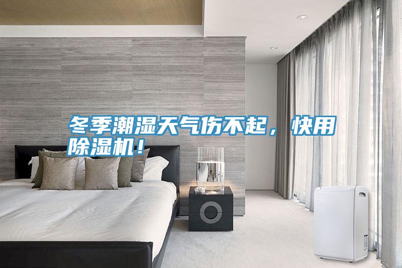 冬季潮湿天气伤不起，快用猫咪成人官网！
