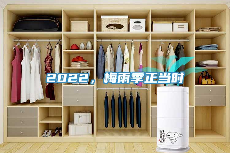 2022，梅雨季正当时